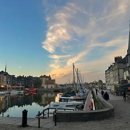 Διαμέρισμα Aux Jardins Fleuris Ονφλέρ